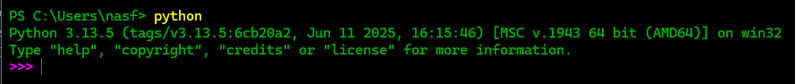Terminal - Python command
